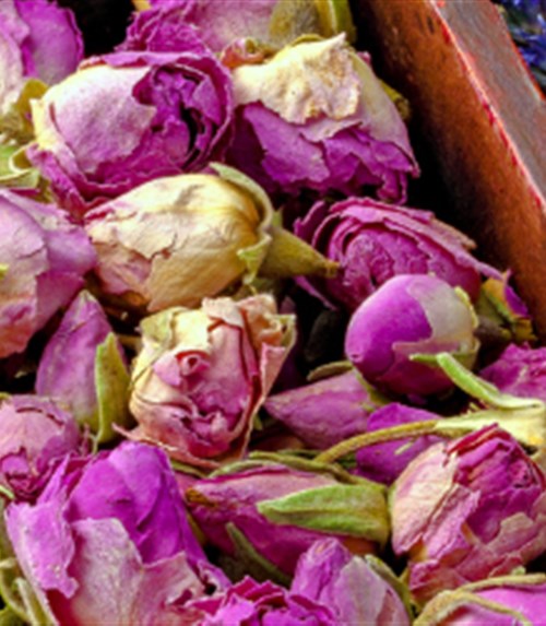 A Cup of Calm: The Best Herbal Teas for Mind and Body